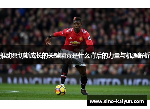 推动桑切斯成长的关键因素是什么背后的力量与机遇解析