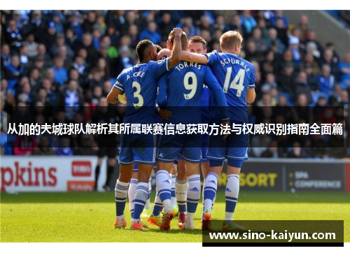从加的夫城球队解析其所属联赛信息获取方法与权威识别指南全面篇